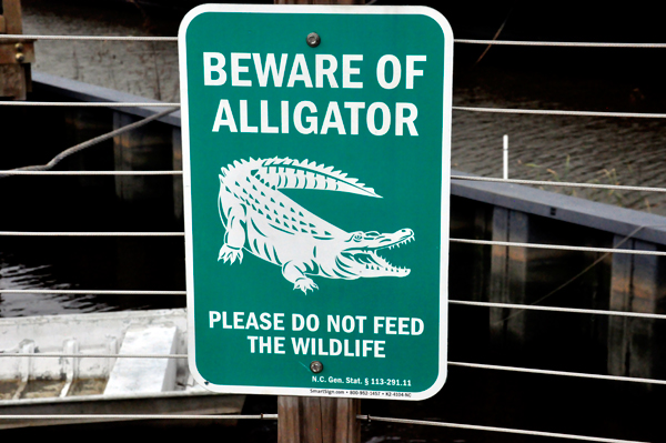 Beware of Alligator sign
