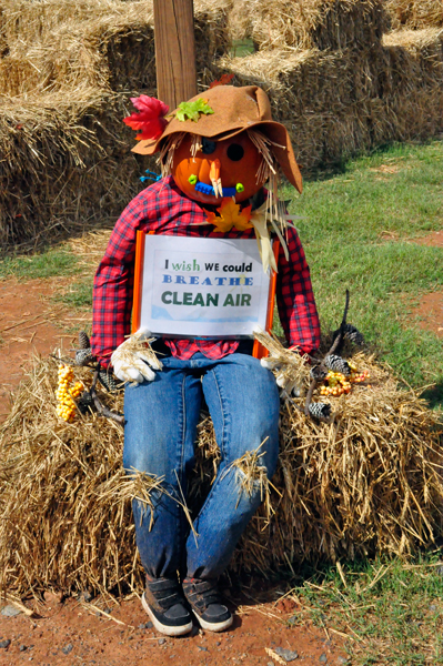 scarecrow entry #113
