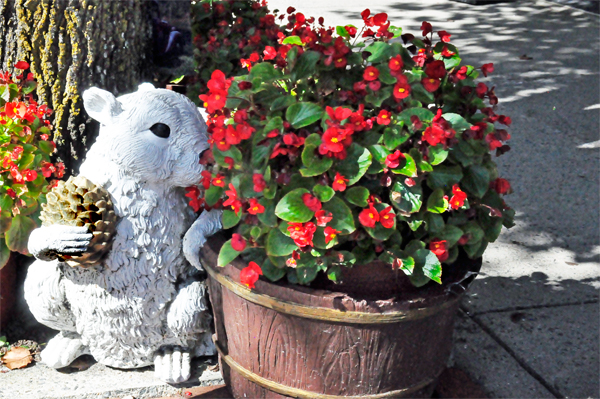 White?Squirrel statue and flowerpot