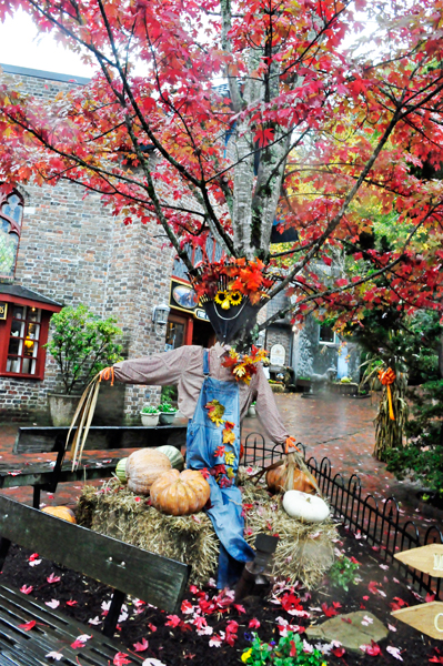 scarecrow and fall foliage