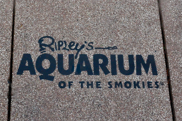 Ripley's Aquarium sign