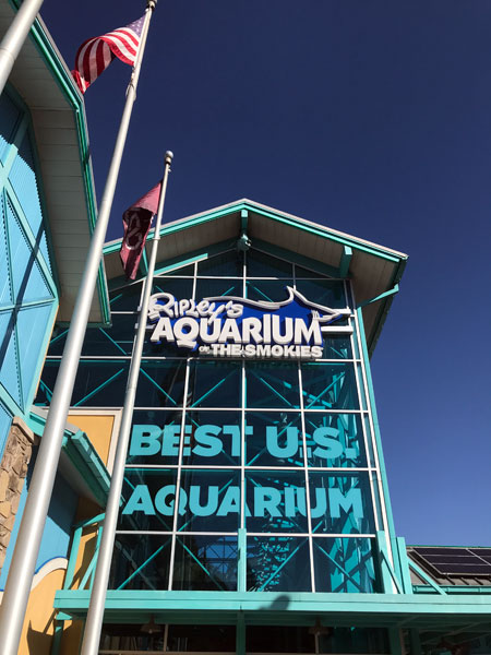 outside Ripley's Aquarium