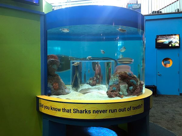 sign about sharks teeth