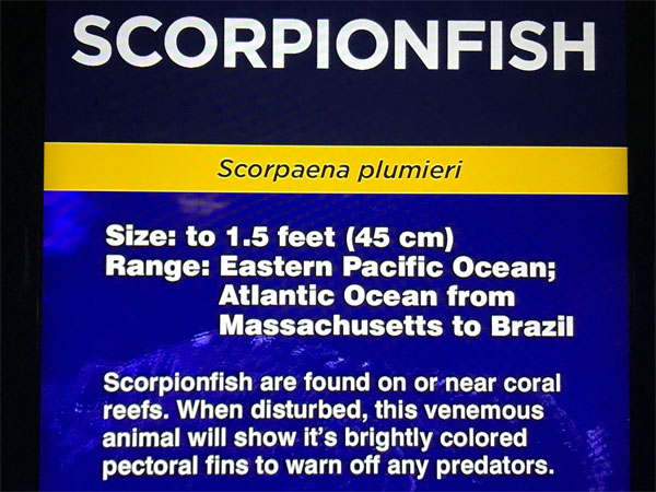 Scorpionfish sign