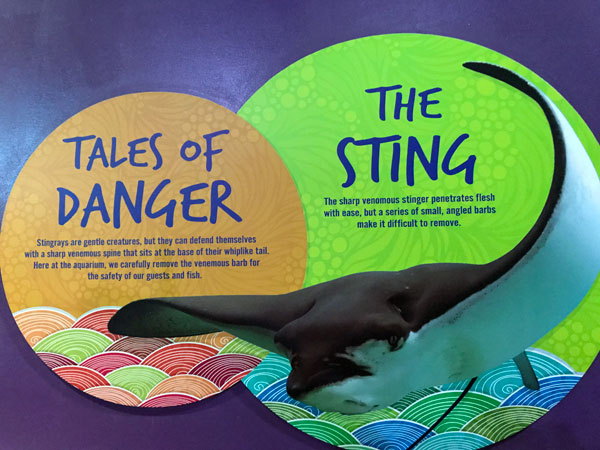 sign about dangerous Stingrays