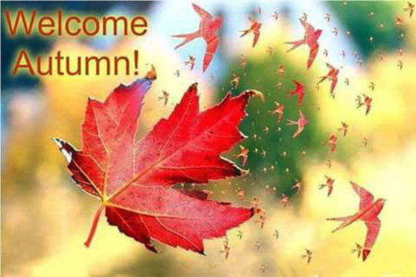 Welcome-Autumn-sign