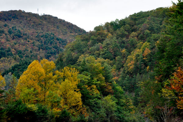 Fall Foliage on the Blue Ridge Parkway