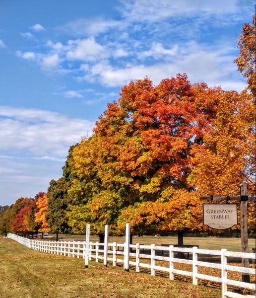 Fall foliage by the Greenway Stables