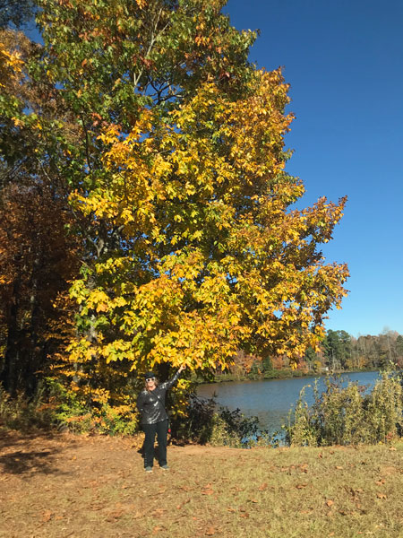 Karen Duquette admires the fall foliage