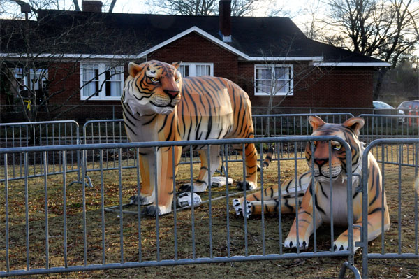 amazing tiger statues