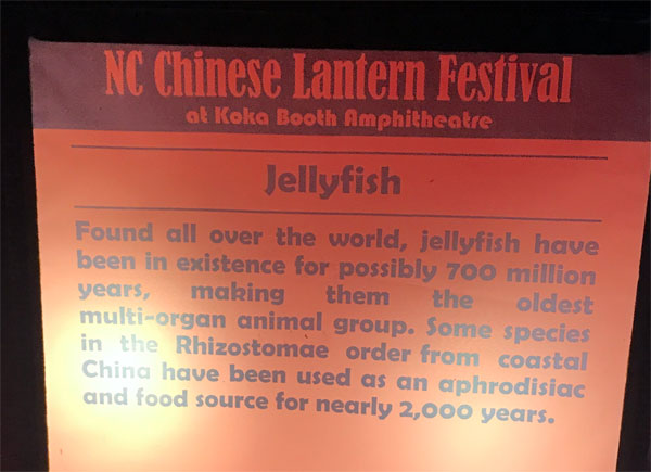 Jellyfish sign