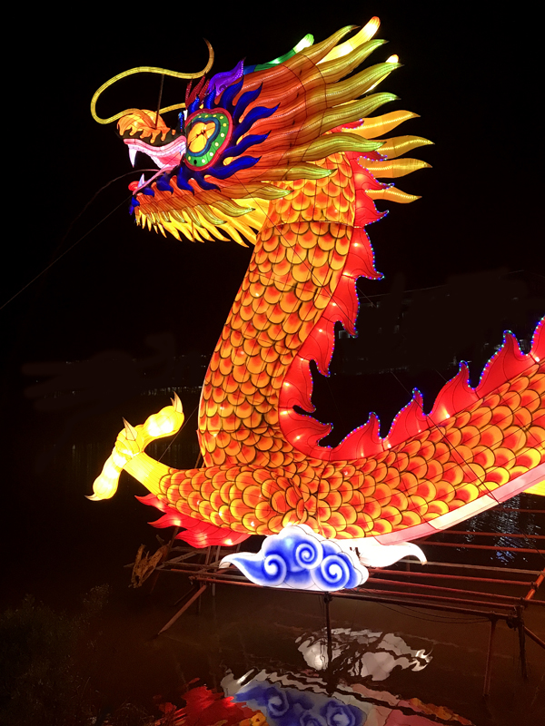 Chinese dragon 2022