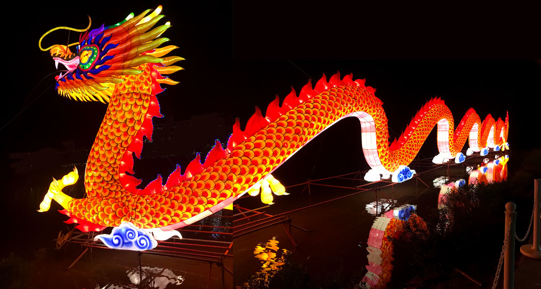 Chinese Dragon and reflections