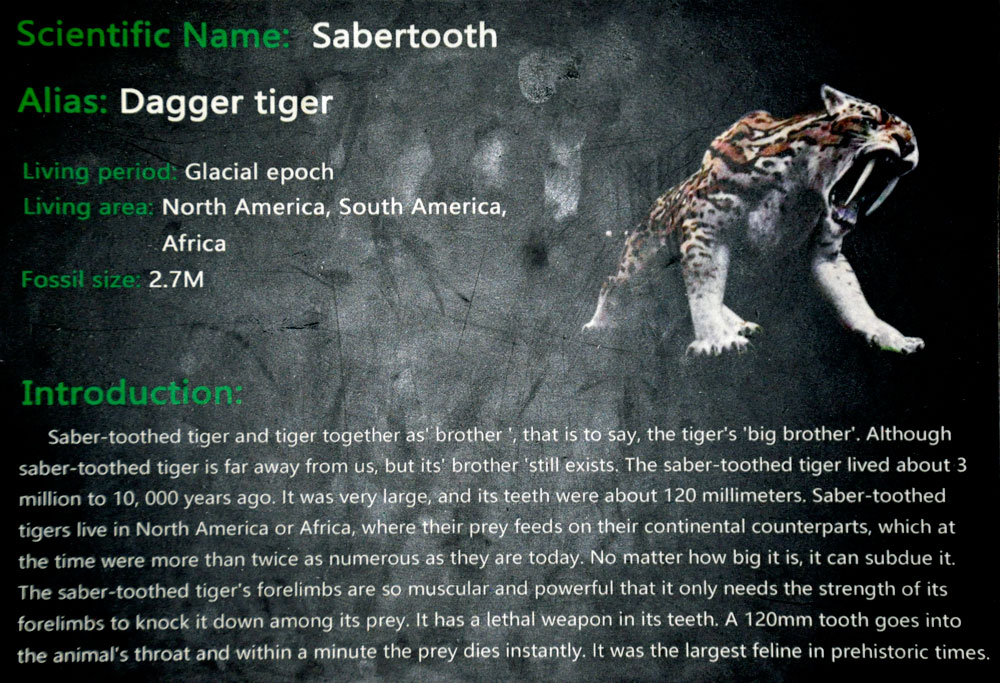 Sabertooth tiger sign