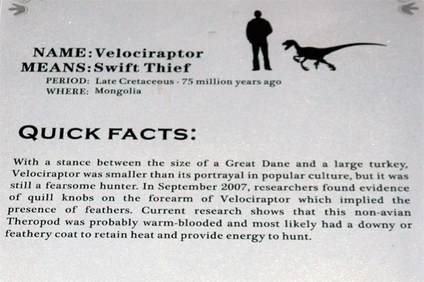 Velociraptor sign
