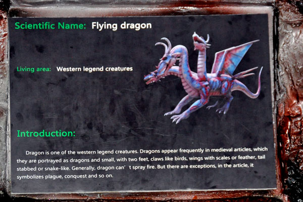Flying dragon sign