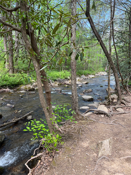 Flowing water alongside the trail in 2022