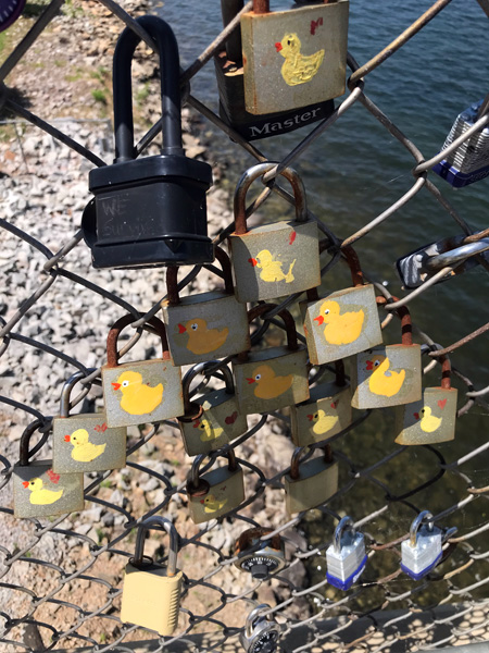 duck locks