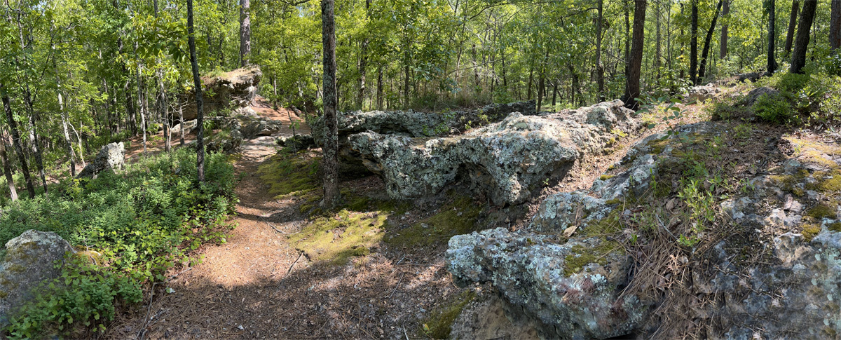 Panorama at Peachtree Rock Preserve