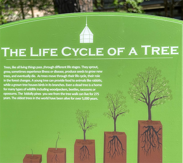sign about The Life Cycle of a Tree