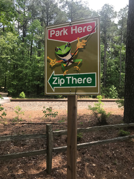 parking sign and Mr.Frog