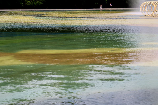 colorful pond