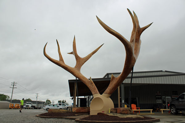 giant antlers