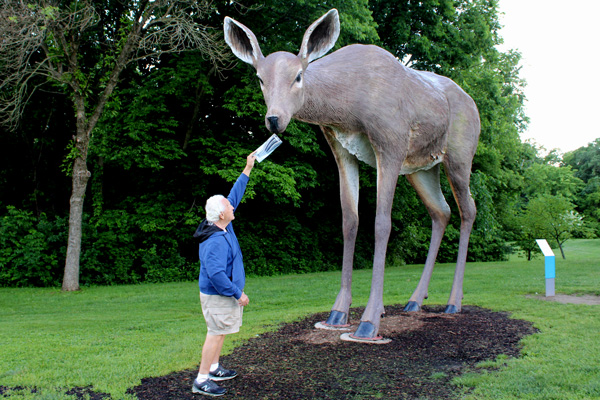 Lee Duquette and a Fiberglass deer