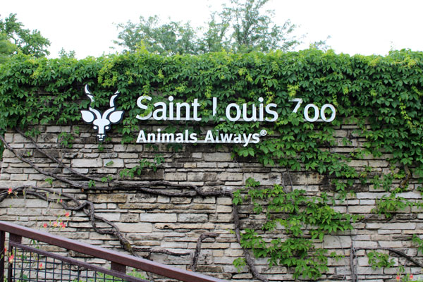 Saint Louis Zoo Animals Always sign