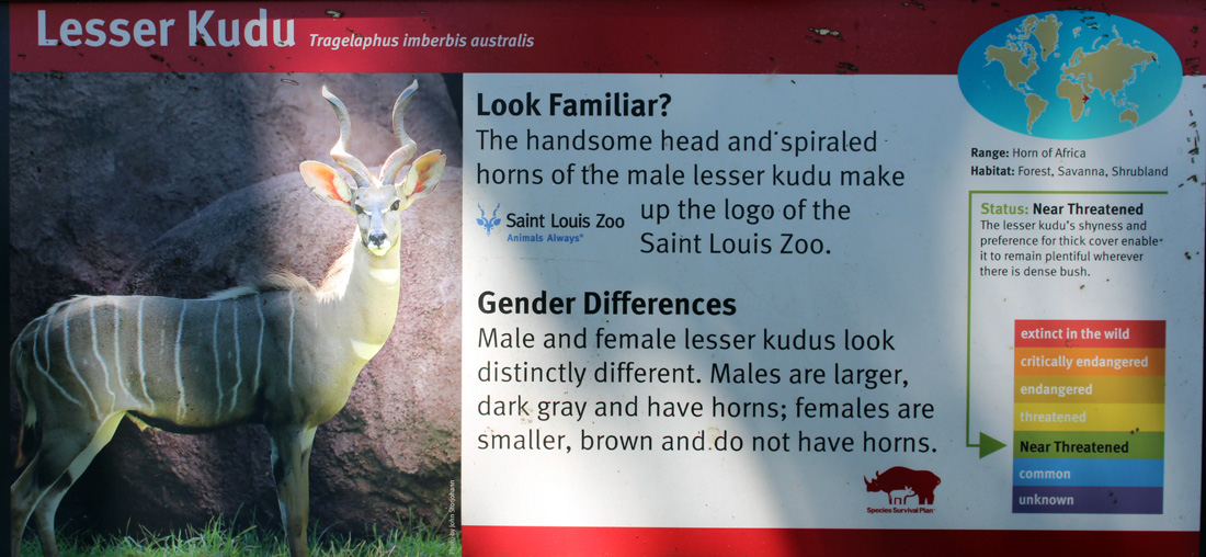 sign about Lesser Kudu