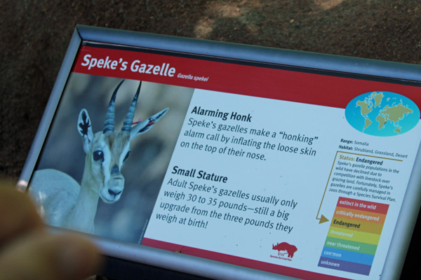 sign about Gazelles