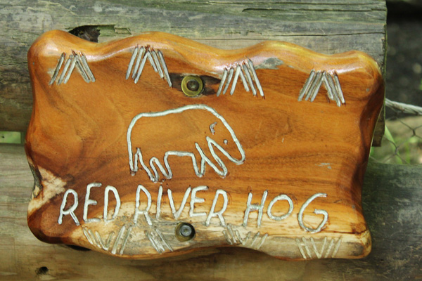Red River Hog sign