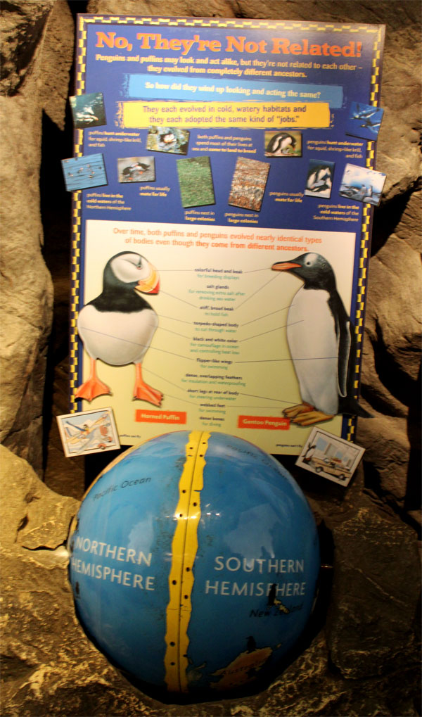 sign - Penguin and Puffins