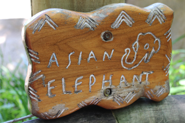 Asian Elephant sign
