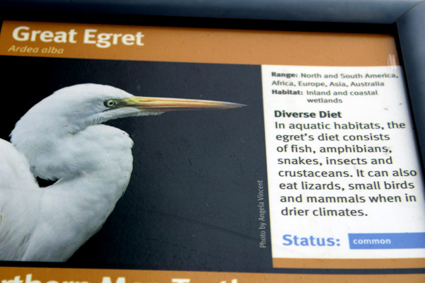 Great Egret sign