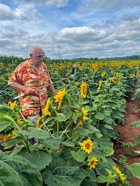 Lee Duquette in the sunflower field