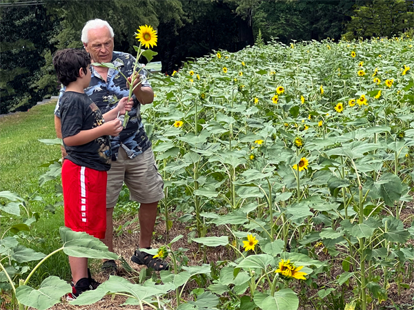 Lee Duquette explaining sunflowers to Anthony