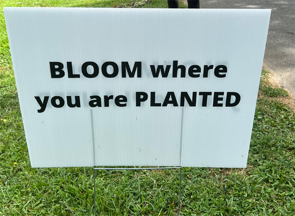 Bloom sign