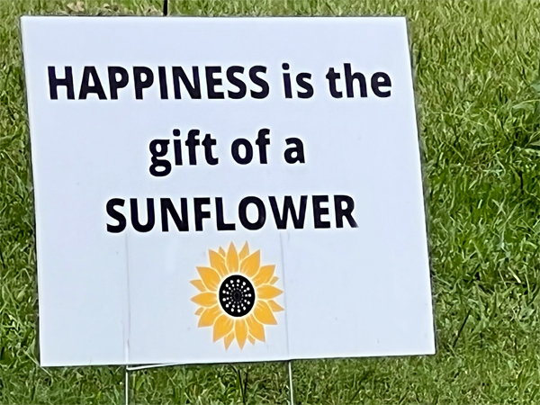 sunflower happiness sign