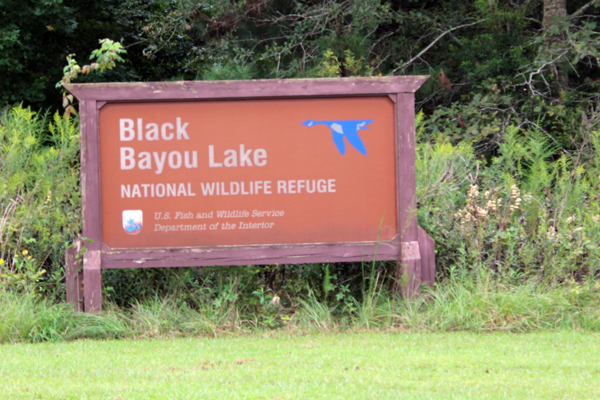 Black Bayou Lake sign