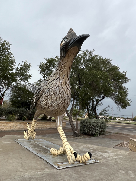 Paisano Pete - The second largest roadrunner in the world