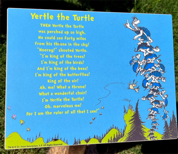 Yertle the Turtle sign