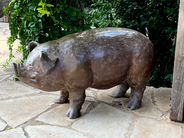 the pig statue