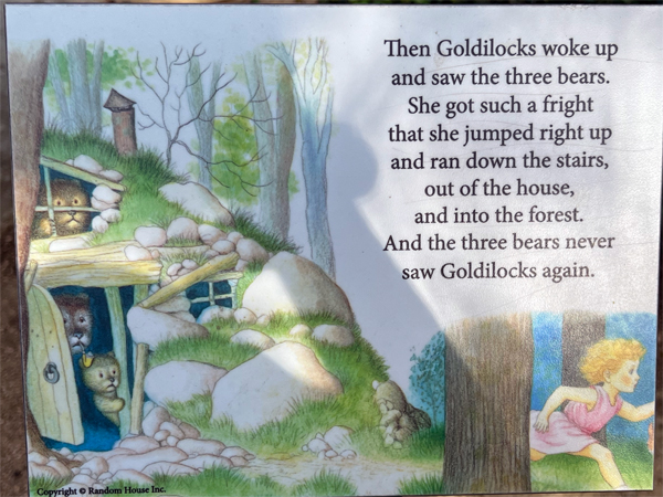 Golidlock book