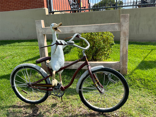 Duck On a Bike