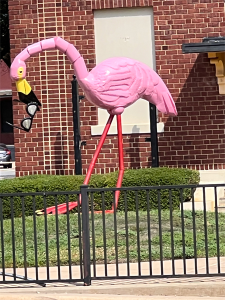a big pink flamingo with sunglasses hanging out if its mouth