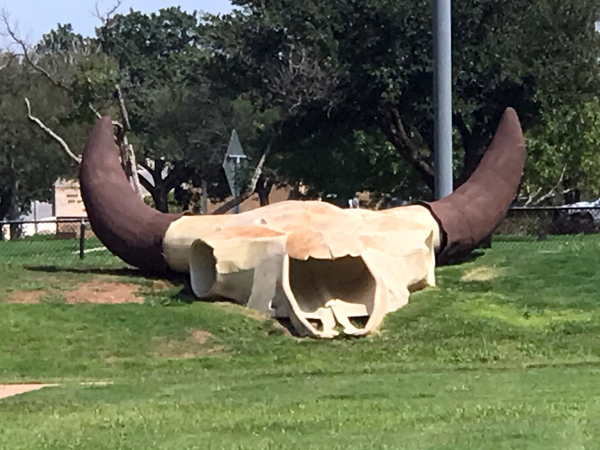the World's Largest Buffalo Skull