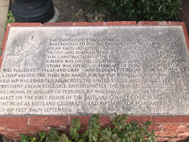 Eastland Civic Center Park  plaque about Old Rip