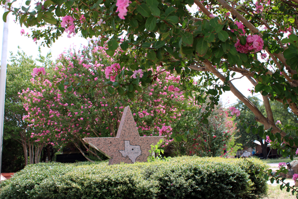 Texas star and flowers