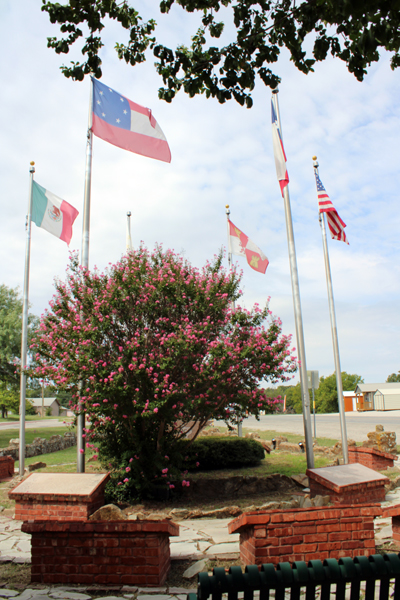 flower bush and flags